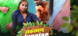 Akalmand Junglee 2023 Besharams E01-4 Hot Series Download