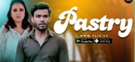 Pastry Part 2 Fliz Hindi Web Series Download