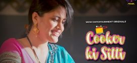 Cooker Ki Sitti Part 2 Wowentertainment E03-5 Download