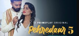 Pehredaar 5 Primeplay Ep8-10 Web Series Download