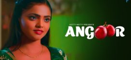 Angoor 2024 HottyNotty Hindi Short Film