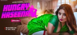 Hungry Haseena 2024 Moodx E04 Hot Series Download