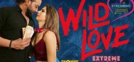 Wild Love 2024 Showhit Hot Short Film