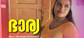 Bharya 2024 Boomex E01 Hot Series Download
