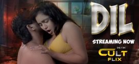 Dil 2024 Cultflix E01-2 Web Series Download