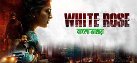 White Rose 2024 Bengali Dubbed Movie 720p HDCam Rip1Click Download