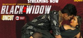 Black Widow 2024 Showhit Hot Short Film