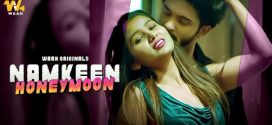 Namkeen Honeymoon 2024 Waah Hot Series Download