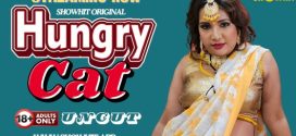 Hungry Cat 2024 Showhit Hot Short Film