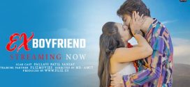 Ex Boyfriend 2024 Fliz Hindi Web Series Download