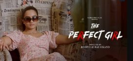 The Perfect Girl 2024 Namasteyflix Short Film