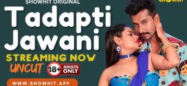 Tadapti Jawani 2024 Showhit Hot Short Film