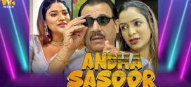 Andha Sasur 2024 Waah Ott Hot Series Download