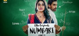 Numbari Part 1 Ullu E01-3 Hot Series Download