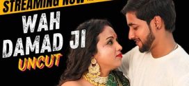 Wah Damad Ji 2024 Neonx Hindi Short Film