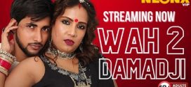 Wah Damad Ji 2 Neonx Hindi Short Film