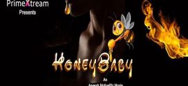 Honey Baby 2025 Primextream Hot Series Download