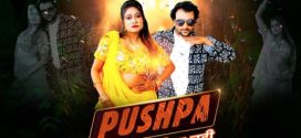 Pushpa Pelega Nahi 2025 Moodx Hot Series Download