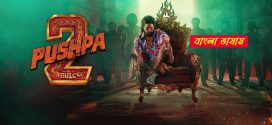 Pushpa 2 2025 Bengali Dubbed ORG 720p WEB-DL 1Click Download