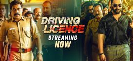 Driving License 2025 Hindi Dubbed Movie ORG 720p WEB-DL 1Click Download