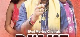 Dulhe Raja 2025 Hindi Season 01 [Epi 01-02 Join] 9RedMovies WEB Series 720p HDRip Download