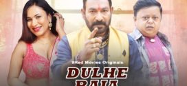 Dulhe Raja 2025 9redmovies E01-2 Web Series Download