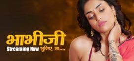 Bhabhi Suniye Na 2025 Hulchul E01-3 Web Series Download