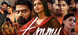 Ammu 2025 Hindi Dubbed Movie ORG 720p WEB-DL 1Click Download