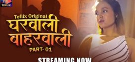 Gharwali Baharwali Part 1 TeFlix Ep1-2 Hot Series Download