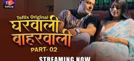 Gharwali Baharwali Part 2 TeFlix Ep3-4 Hot Series Download