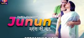 Junun Part 1 TeFlix Ep1-2 Hot Series Download