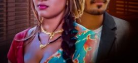 Mr. LL.B 2025 Hindi Rioplus Short Films 720p HDRip Download