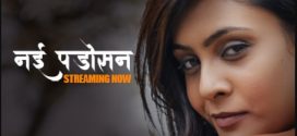 Nayi Padosan 2025 Hulchul E01-3 Web Series Download