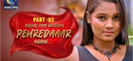 Pehredaaar Again 2025 Bulbulplay E04-6 Web Series Download