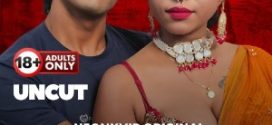 Sweet Padosan 2025 Hindi NeonX Short Films 720p HDRip Download