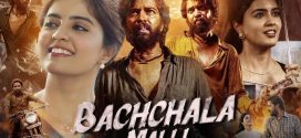Bachchala Malli 2025 Hindi Dubbed Movie ORG 720p WEB-DL 1Click Download