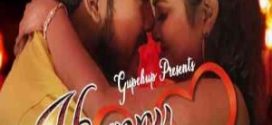 Happy Anniversary 2021 (Season 01 Complet) GupChup WEB Series 720p HDRip Download