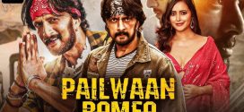 Pailwaan 2025 Hindi Dubbed Movie ORG 720p WEB-DL 1Click Download