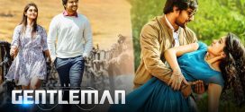 Gentleman 2025 Hindi Dubbed Movie ORG 720p WEB-DL 1Click Download