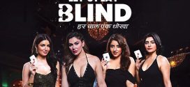Lets Play Blind 2025 Hungama All Hot Series Download