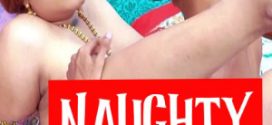 Naughty Stepson 2025 Hindi FansLove Short Films 720p HDRip Download