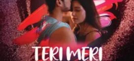 Teri Meri Love Story 2025 Hindi Season 01 Episodes 01-04 ImaxxTV WEB Series 720p HDRip Download