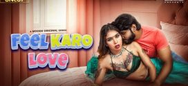 Feel Karo Love 2025 Moodx Hot Series Download