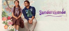 Sundarakanda 2025 Hindi Dubbed Movie ORG 720p WEB-DL 1Click Download