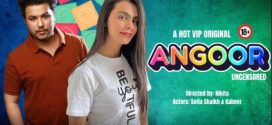 Angoor HotX OTT Hindi Unrated Short Film