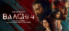 Baaghi 4 2025 Hindi Movie 720p WEB-DL 1Click Download