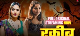 Raqeeb 2025 Pullapp Ep1-4 Hot Series Download