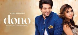 Dono 2025 Hindi Movie 720p WEB-DL 1Click Download