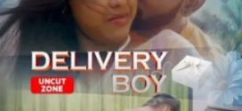 Delivery Boy (Uncut) 2025 Malayalam NmxSeries Short Films 720p HDRip 1Click Download