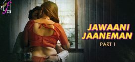 Jawaani Jaaneman Part 1 Feel Ep1-3 Hot Series Download